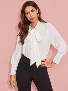 Tie Neck Lantern Sleeve Blouse